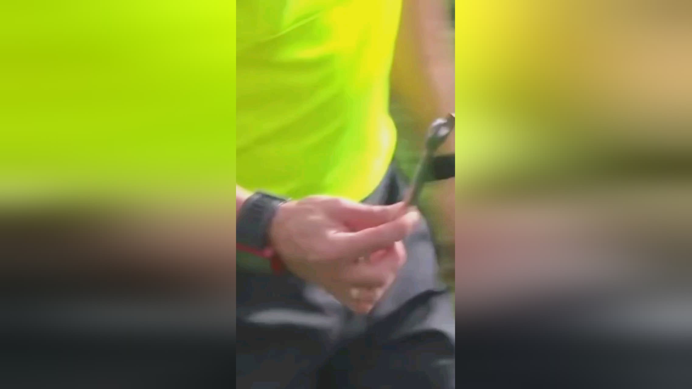 案的普
